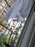 罗蒙短袖棉衬衫女夏季商务职业工装纯色正装工作服v领白衬衣 白色 36 实拍图