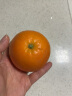 集南鲜 赣南脐橙 江西橙子新鲜现摘水果脐橙时令生鲜水果甜橙 水果礼盒 【优选橙】含箱5斤（150-210g） 实拍图