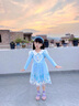 蓓然美爱莎公主裙秋装2025艾莎网纱裙女童连衣裙儿童聚会服生日礼物 蓝裙+披纱 120码 实拍图
