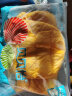 贝贝怡【官方发售】儿童保暖外套冬装新款宝宝连帽棉服加厚外衣 黄色 12个月/身高80cm 晒单实拍图