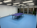 红双喜（DHS）乒乓球桌 折叠式标准比赛球台T2024 含网架/球拍/乒乓球 晒单实拍图