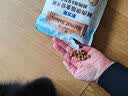耐吉斯鲜肉烘焙狗粮250g鲜鸡肉益生菌护肠胃100%真鲜肉成犬幼犬全价犬粮 实拍图