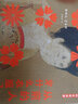 给孩子的名画启蒙 衣食住行玩 赠藏书票、贴纸、名画插页（聪明豆·艺术馆 套装共5册）原创中国传统文化艺术启蒙读物 实拍图