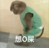 骆驼（CAMEL）户外单层冲锋衣男女款硬壳防雨单冲旅游外套 A13CATG112   2XL 实拍图