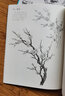 素描基础教程（4本装）送铅笔《素描基础教程》 石膏几何体静物书零基础入门自学铅笔五官头像教程 实拍图