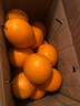 拾橙 江西赣南脐橙赣州橙子赣州橙子安远寻乌信丰脐橙 精美礼盒大果净重9斤装 实拍图