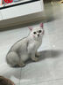喵仙儿猫爬架大型一体猫窝多层跳台剑麻猫抓柱耐磨猫抓板不掉屑猫玩具 实拍图