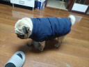 DADAGOU法国斗牛犬衣服宠物棉衣巴哥沙皮胖狗狗秋冬装棉背心加绒加厚棉衣 斗牛犬棉背心-藏蓝色 XXL 实拍图