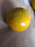 永生厚【顺丰速运】海南新鲜蛋黄果 鸡蛋果 精选果3斤净果1.5kg 3斤净果 实拍图
