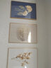 瑞尚客厅装饰画沙发背景墙壁画现代简约轻奢餐厅挂画抽象三联画墙画 杏福安康 50*70/晶瓷面+铝合金金框 实拍图