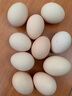 舌尖攻略蛋墩墩农家散养鸡蛋谷饲鲜鸡蛋农家鸡蛋早餐食材蛋白单枚40g±5g 谷饲鲜鸡蛋 40枚 实拍图