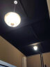 十八纸 风琴吊灯原创设计简约客厅餐厅吧台氛围灯具简约ins网红时尚灯 花苞灯罩+灯座配件 晒单实拍图