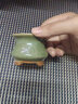 景青小花盆陶瓷多肉控型拇指盆简约创意个性透气桌面迷你可爱 ZY拇指绿冰裂-收腰陶瓷 小 实拍图