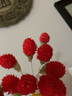 干花花束植物干花真花永生花勿忘我干花多色草莓果干花办公室客厅茶几餐桌摆放装饰艺术插花小花束 红色草莓果12支（不含花瓶） 实拍图