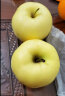 奶油苹果山东烟台黄金富士脆甜丑冰糖心苹果新鲜水果整箱送礼生鲜 5斤 实拍图