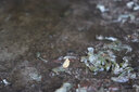 佳能（Canon） EOS 200D二代 200d2代单反相机入门单反vlog迷你单反数码照相机 白色18-55mm套机+原装手柄+品牌麦克风套装 套餐四【免费升级套餐五~免费升级不加价】 实拍图