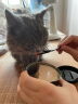 汤恩贝猫罐头进口罐头猫零食猫咪湿粮功能主食猫罐头170G营养成猫幼猫宠物零食 多维生素170g 实拍图