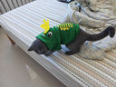 憨憨宠 狗狗衣服 猫衣服宠物衣服变身装猫咪衣服中小型犬幼犬秋冬服装 小恐龙款 M号建议体重4-7斤 实拍图