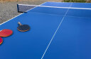 博森特（BOSENTE）乒乓球桌标准室内兵乓球台室外家用可折叠移动式比赛兵浜球台案子 不带滚轮 BST016-40 室内款 实拍图