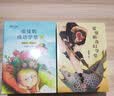 张曼娟成语学堂第二部（套装共4册）胖嘟嘟+山米和浪花的夏天+完美任务+星星坏掉了 实拍图