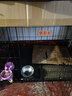 华美龙 狗笼子小型犬中型犬带厕所泰迪柯基比熊柴犬宠物狗窝室内狗围栏 【免安装】85*60*70（45斤内） 实拍图