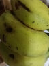 纯香果 广西小米蕉 新鲜香蕉水果 小米蕉3斤装 晒单实拍图