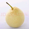 赵州水晶鸭梨新鲜水果产地直发【五】单果180g 带箱2.5斤装（净重2.1-2.2斤） 实拍图