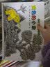 铃木绘本 郁金香系列① 好习惯养成我真棒系列第一辑 培养自信 勇气 感受爱和美的力量！儿童绘本 3-6岁 全5册 北斗儿童图书  实拍图