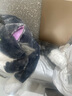 嘉百利毛绒玩具路西法猫玩偶搞怪沙雕生日女生礼物送女朋友实用创意公仔 路西法猫猫65厘米 收藏加购 优先发货 实拍图