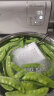 摩飞电器（Morphyrichards） 果蔬清洗机洗菜消毒神器蔬菜净化器洗菜机蔬果清洗净化机果蔬机MR2061 椰奶白 实拍图