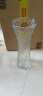泰西丝玻璃花瓶创意水培植物玻璃花瓶透明水养绿萝花盆容器插花瓶鱼缸器 六角玻璃瓶 30高 实拍图