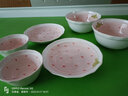 摩登主妇草莓碗陶瓷碗碗盘套装可爱小碗少女心餐具儿童饭碗汤碗 草莓多8英寸饭盘 实拍图