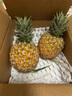 沐瑾正宗海南芒果凤梨菠萝台农23号金芒凤梨当季现发孕妇新鲜水果整箱 2.5斤-3斤丨小果丨2-3个丨含箱 实拍图