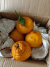 正宗四川不知火丑橘耙耙八怪黄皮桔子柑当季新鲜时令水果整箱 净果5斤 果径70-75mm 普通快递 实拍图