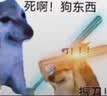 繁花集（FANHUAJI）葫芦 檀木梳子礼盒教师节情人生日礼物表白送老师女神老婆闺蜜女生朋友情侣结婚纪念日礼品 福禄 实拍图