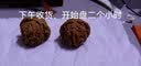 山中玉文玩核桃狮子头手盘核头古玩青果现货手把件礼物赌青皮新年礼物 四座楼 45mm 实拍图