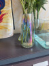 墨斗鱼 炫彩玻璃花瓶1823现代简约工艺品北欧田园家居摆件客厅餐厅电视柜装饰插花花器 实拍图