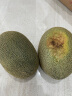 新疆蜜哈密瓜 甜瓜2粒装 单果1.4kg起 新鲜水果 实拍图