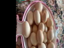 白荡里农家散养土鸡蛋正宗新鲜营养柴鸡蛋草鸡蛋笨鸡蛋特产单枚40g-45g 40枚超值装 实拍图