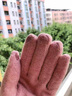 欧凡迪 羊毛手套女触屏秋冬加绒保暖复古优雅防风骑车开车骑行厚手套冬 温柔皮粉 双纽扣加绒手套 均码 实拍图