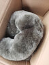 启韵 冬季纯羊毛汽车方向盘套可爱保暖短毛绒车把套皮毛一体冬天通用 科技灰羊毛把套 实拍图