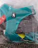 TRUELOVE狗狗牵引绳小型犬狗绳子遛狗绳背心式泰迪柯基宠物用品小狗胸背带 湖蓝色 XS(胸围32-36cm)建议5-8斤选择 实拍图