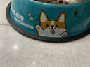 华元宠具（hoopet）狗狗碗狗盆不锈钢猫咪碗食盆喂食喝水宠物防打翻狗粮猫粮专用饭盆 单层-萌萌柯基 打翻可退 m 实拍图