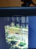 佳能Canon EF16-35 24-70 70-200mm二手单反镜头 大三元红圈广角中长变焦镜头 EF 70-200 F4L IS USM 单镜头【套餐更划算】 99成新 实拍图