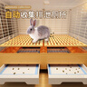 蔻丝兔笼子防喷尿特大号室内专用兔子笼子防溅尿自动清粪荷兰猪兔子窝 真防喷尿【73_47_65】黄-单层 实拍图
