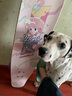 BARBE UE LONGBOARD 糖衣长板专业初学男生女生刷街平花滑板男生dancing舞板滑板 糖衣4.0昭和少女整板 实拍图