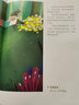 玫瑰姐妹（精装）安徒生童话 格林童话 一千零一夜 百年童话 大语文阅读 绘本 3-6岁  实拍图
