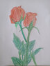 辉柏嘉（Faber-castell）水溶性彩铅笔48色彩色铅笔笔帘套装手绘专业画笔48色水溶彩色铅笔+50孔笔帘 速写 马克笔绘画 实拍图