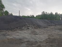 兹具遮阳网防晒网太阳网遮阴网黑色农用隔热网纱布加密加厚盖土网 加密3针：8米宽×50米长 实拍图