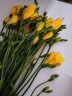 花点时间（Reflower）鲜花玫瑰花束云南昆明基地直发百合向日葵送女友生日礼物 红色系玫瑰20枝（黑魔术/传奇等品种） 实拍图